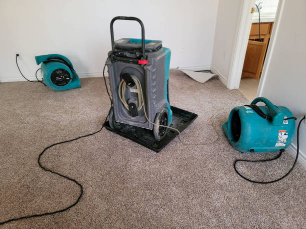 Best Mold removal after water damage  in Dunlap, IN