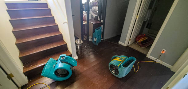 Best 24/7 water damage repair  in Dunlap, IN