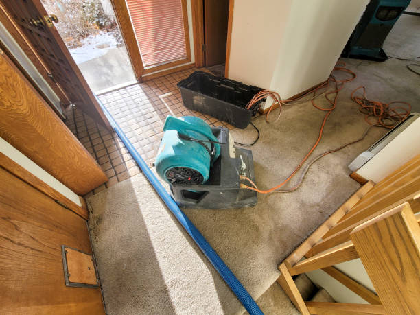 Best Water damage restoration near me  in Dunlap, IN
