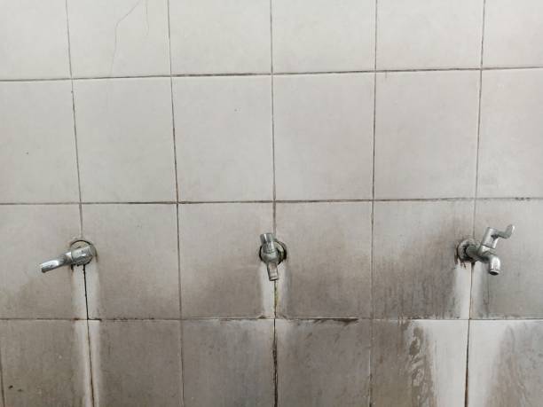 Carpet water damage restoration in IN