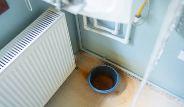 Best Water damage restoration mold remediation  in Dunlap, IN
